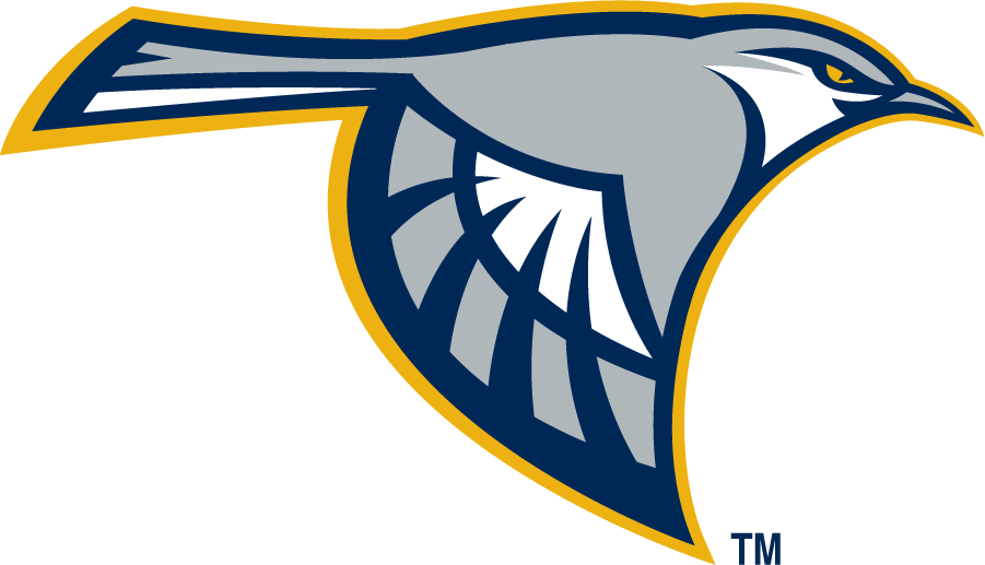 Chattanooga Mocs 2008-2014 Secondary Logo iron on transfers for T-shirts